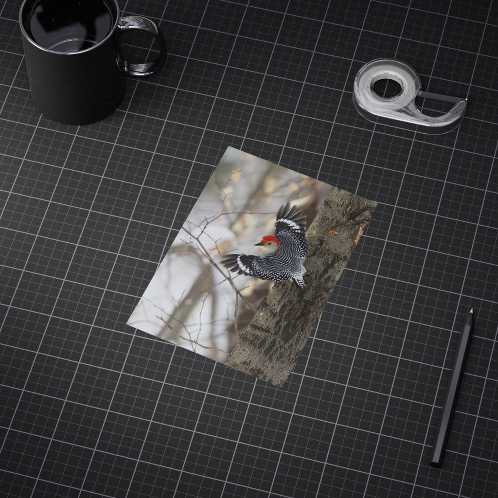 red-bellied woodpecker photo print