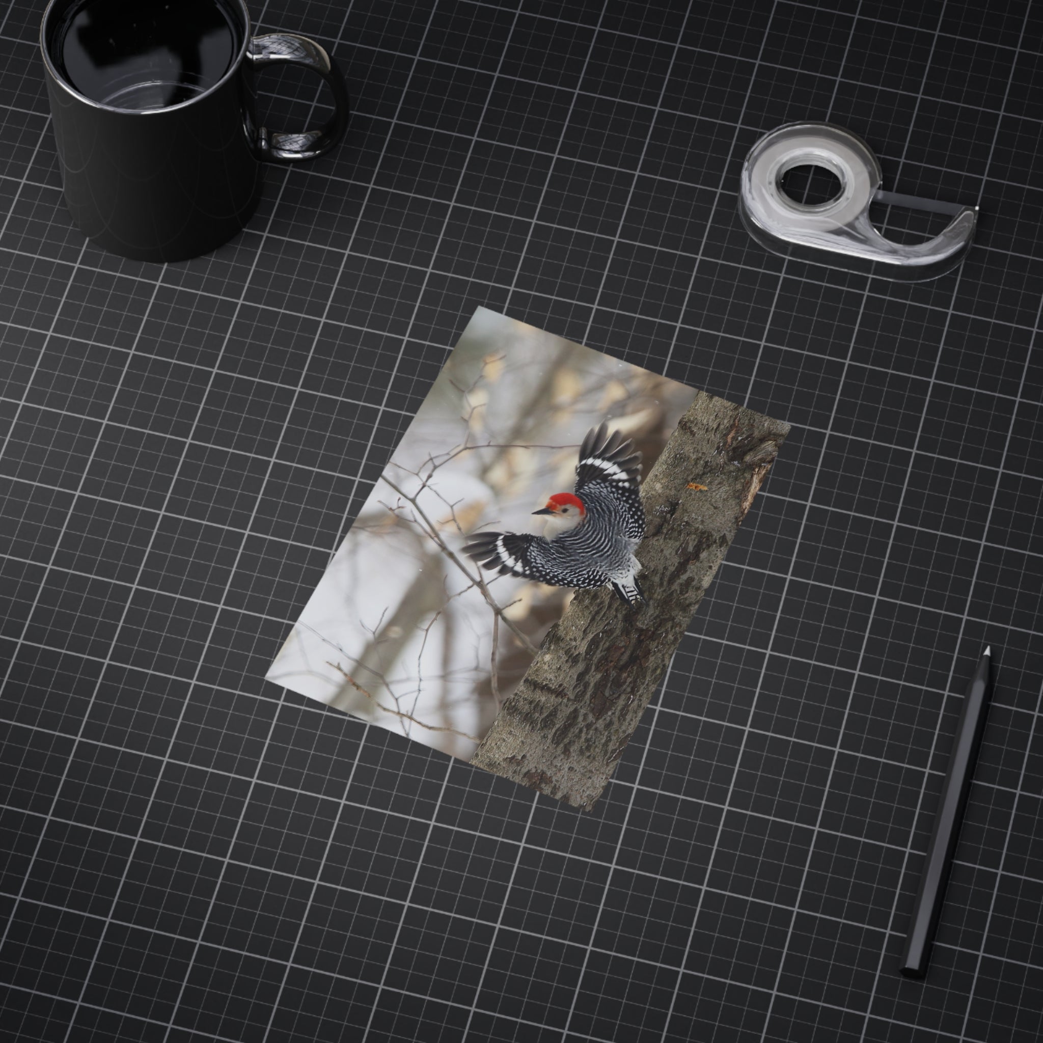 red-bellied woodpecker photo print