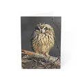 Owl perched on a branch with a dark background greeting card