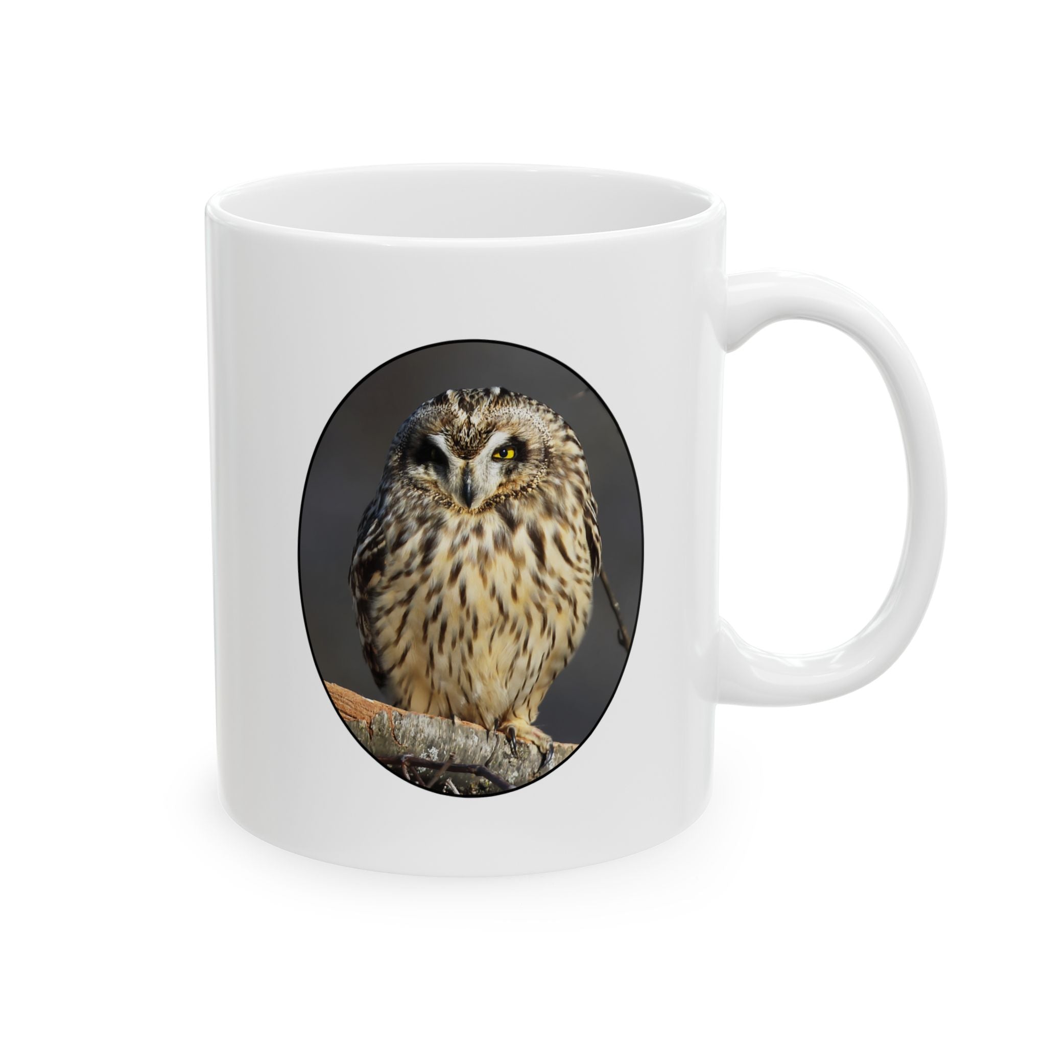 Short-eared Owl - 11oz Mug